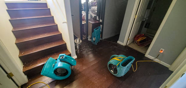 Best Local water damage restoration  in Wallace, NC