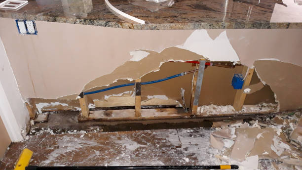 Best 24/7 water damage repair  in Wallace, NC