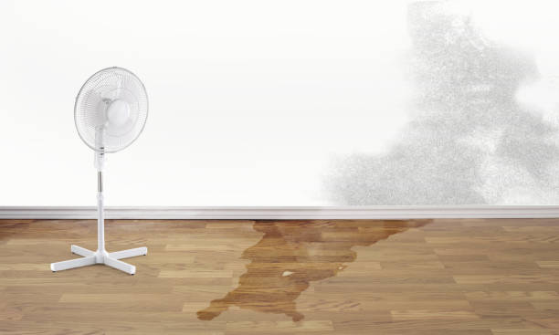 Best Sewage cleanup and water damage restoration  in Wallace, NC