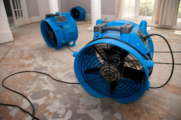 Trusted Wallace, NC Water damage restoration Experts