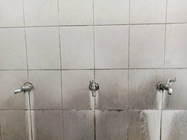 Best Commercial water damage restoration  in Wallace, NC