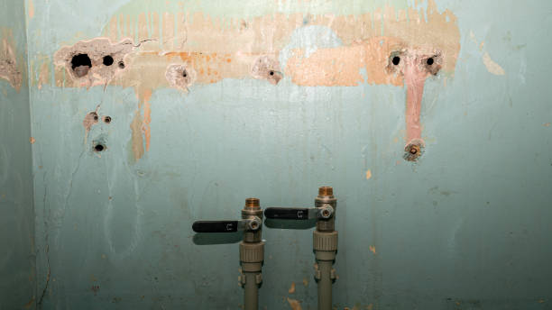 Best Flooded house restoration  in Wallace, NC