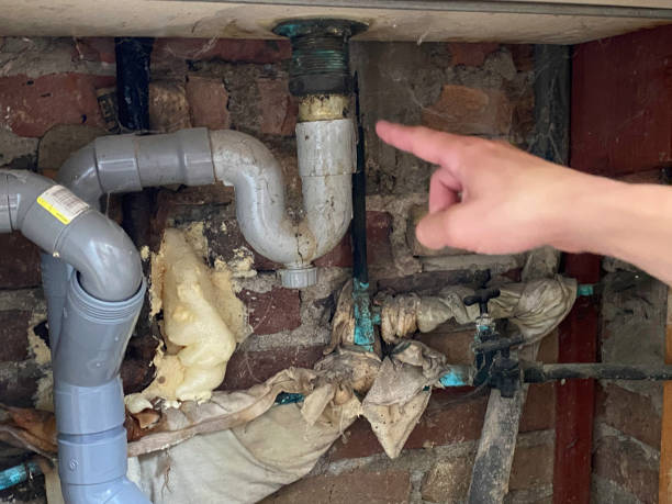 Best Residential water damage restoration  in Wallace, NC